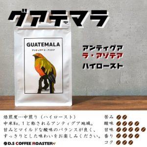 グアテマラ アンティグア ラ・アゾテア ハイロースト コーヒー豆